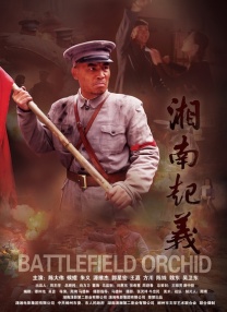 高清一区二区在线观看